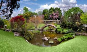 Puzzle 3173 - Huntington Park - 
