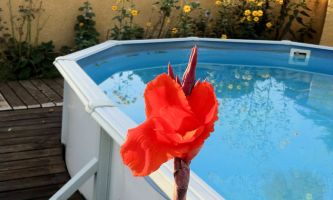 Puzzle Le dernier bain