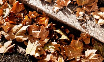 Puzzle En fin d'Automne