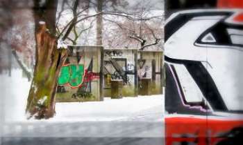 Puzzle 3228 - Parc en hiver