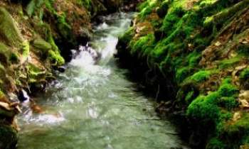 Puzzle 3340 - Le ruisseau