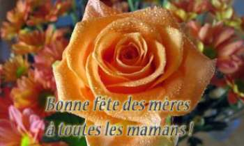 Puzzle 3281 - Fêtes des mères