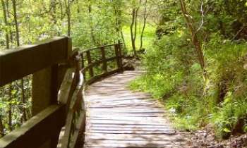 Puzzle 3348 - Le chemin
