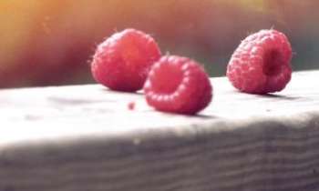 Puzzle 3364 - 3 framboises