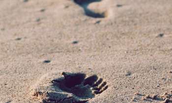 Puzzle 3421 - Un pas dans le sable