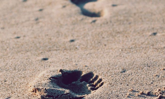 Puzzle Un pas dans le sable