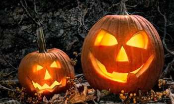 Puzzle 3457 - citrouilles Halloween