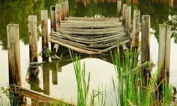 Puzzle 3503 - Vieux ponton en bois