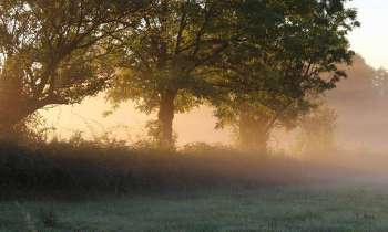 Puzzle 3563 - brume