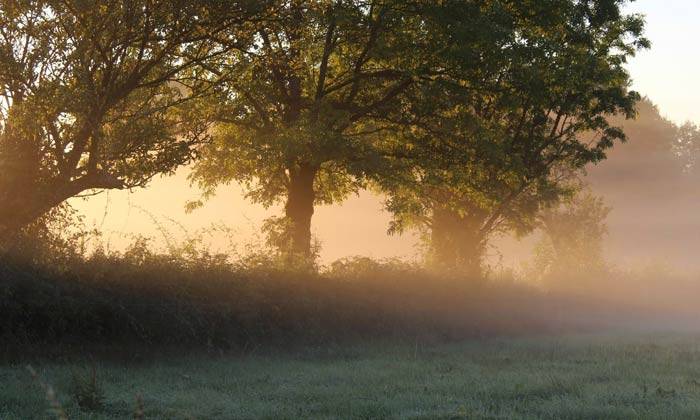 Puzzle brume