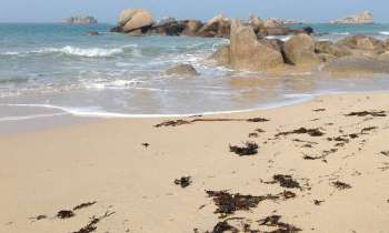 Puzzle 3594 - plage déserte