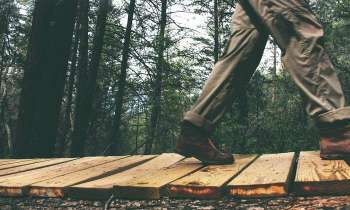 Puzzle 3600 - passerelle en bois