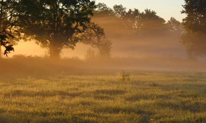 Puzzle paysage sous la brume