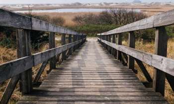 Puzzle 3615 - Passerelle