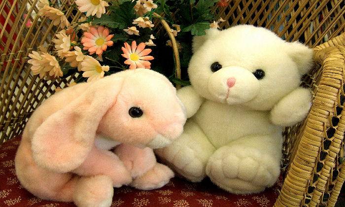 Puzzle Sages peluches