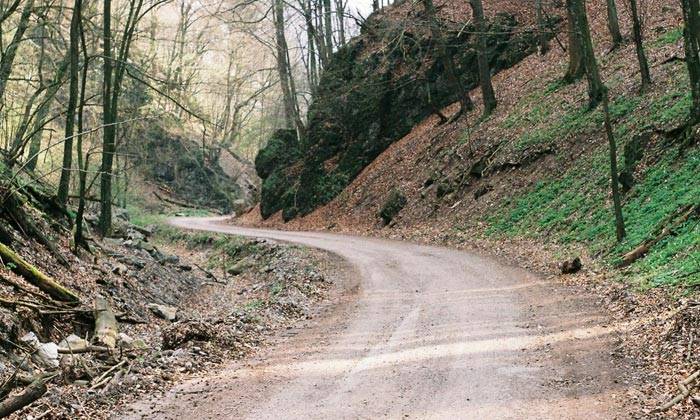 Puzzle Chemin forestier