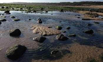 Puzzle 3641 - Rochers dans l'eau