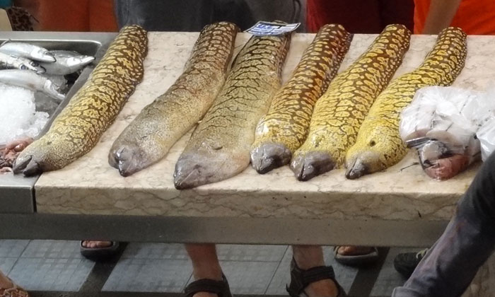 Puzzle Poissons frais sur le marché 