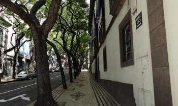 Puzzle 3823 - Mosaïque de Funchal 