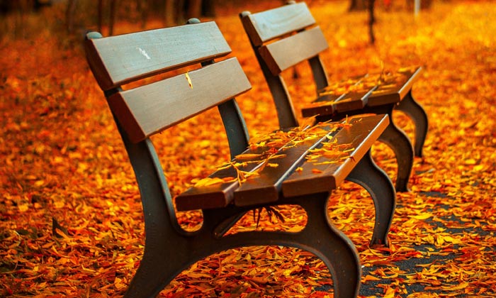 Puzzle Bancs à l'automne
