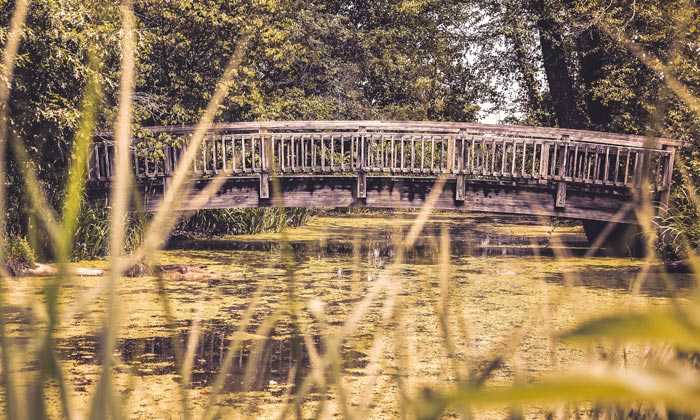 Puzzle Petit ponton de bois