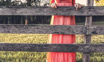 Puzzle 3685 - Robe rose