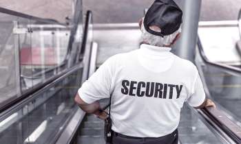 Puzzle 3713 - Homme de securité