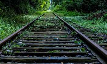 Puzzle 5001 - Rails en forêt