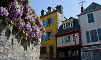 Puzzle 3876 - Belle Glycine à Morlaix 