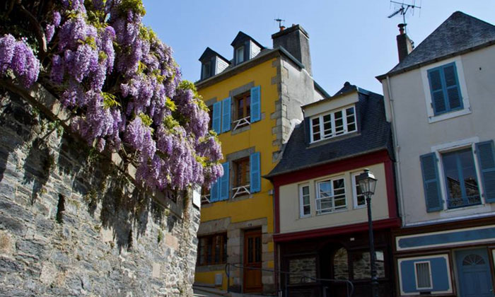 Puzzle Belle Glycine à Morlaix 