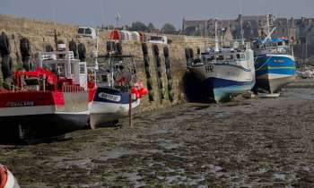 Puzzle 3829 - Bateaux de pêche à Roscoff