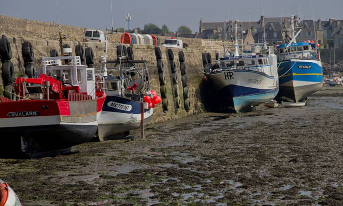 Puzzle Bateaux de pêche à Roscoff