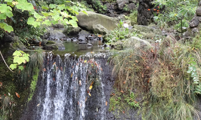 Puzzle Petite chute d'eau 