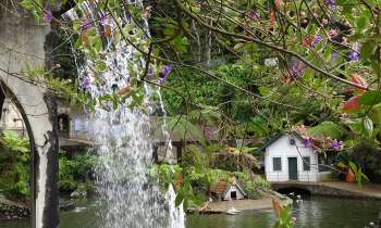 Puzzle 3729 - Mare aux Canards à Funchal