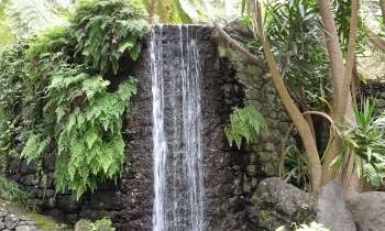 Puzzle 3801 - Petite chute d'eau