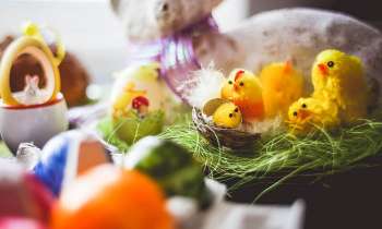 Puzzle 4068 - Poussins de Pâques