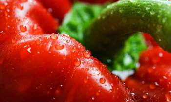 Puzzle 4476 - Poivron rouge