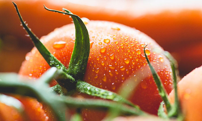 Puzzle Tomates fraîches