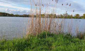 Puzzle 3834 - En bordure de lac