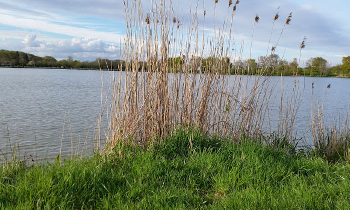 Puzzle En bordure de lac