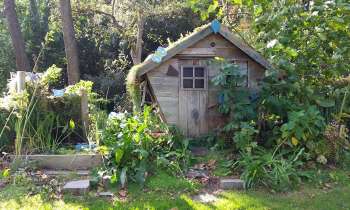 Puzzle 3783 - Cabane fleurie