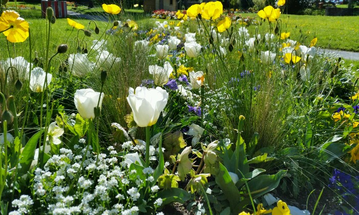 Puzzle Parterre de fleurs