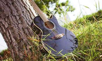 Puzzle 4858 - Guitare