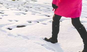 Puzzle 4009 - Des pas dans la neige