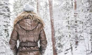 Puzzle 3978 - Bien couverte pour l'hiver
