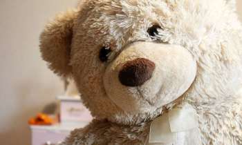 Puzzle 3871 - Gros nounours