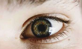 Puzzle 4662 - Oeil