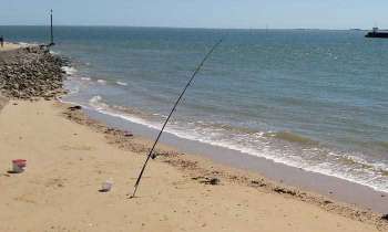 Puzzle 4819 - Pêche sur la plage