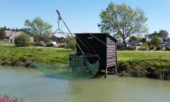Puzzle 3861 - Carrelet de Noirmoutier