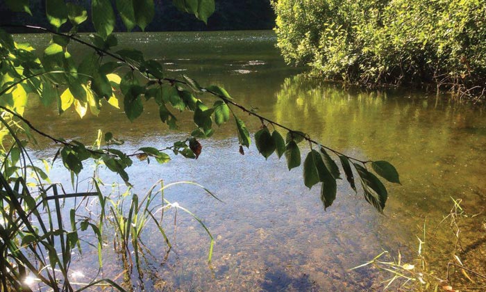 Puzzle Pêche à la grenouille